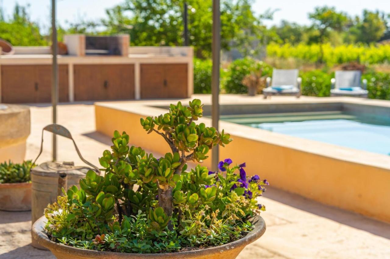 Finca Campestre Es Verger Blue Бинисалем Экстерьер фото